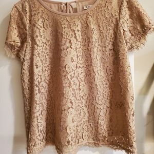 Joie Marella Lace Top